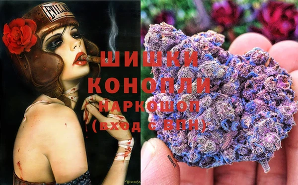 ешки Нефтекумск