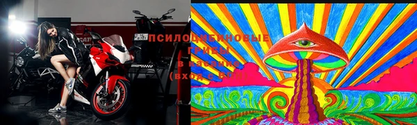 скорость Новодвинск