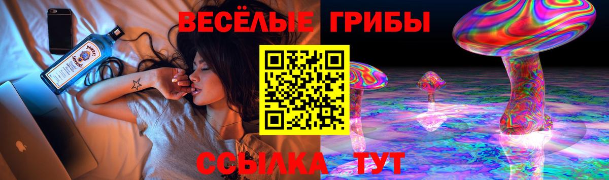 Псилоцибиновые грибы Cubensis Рассказово