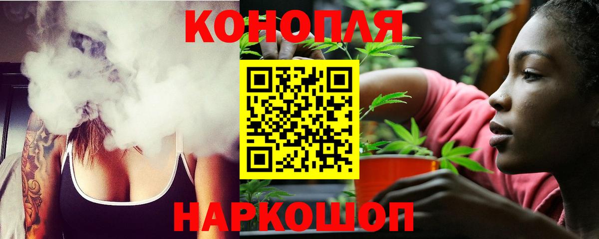 Рассказово  Каннабис ГИДРОПОН  Вход с VPN  Канабис сатива 